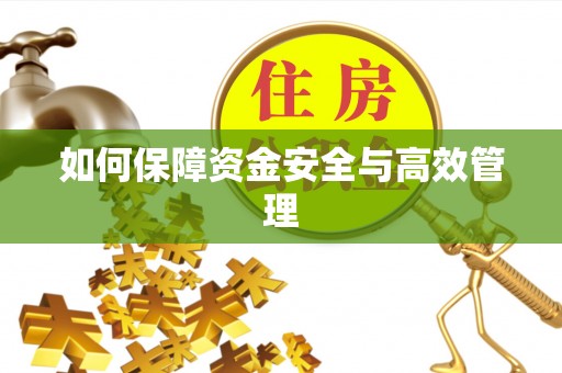 蓝田如何保障资金安全与高效管理
