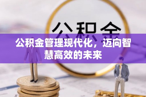 蓝田公积金管理现代化，迈向智慧高效的未来