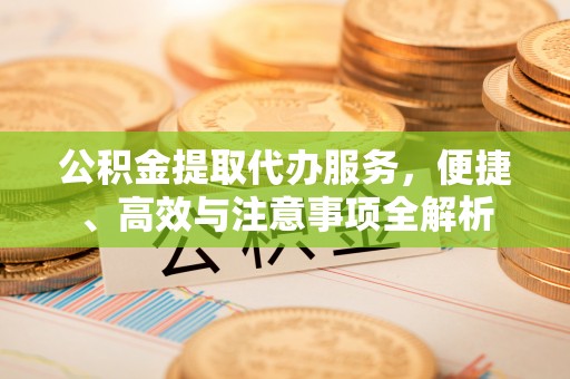 蓝田公积金提取代办服务，便捷、高效与注意事项全解析
