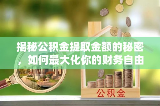 蓝田揭秘公积金提取金额的秘密，如何最大化你的财务自由