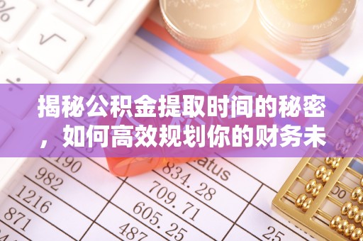 蓝田揭秘公积金提取时间的秘密，如何高效规划你的财务未来