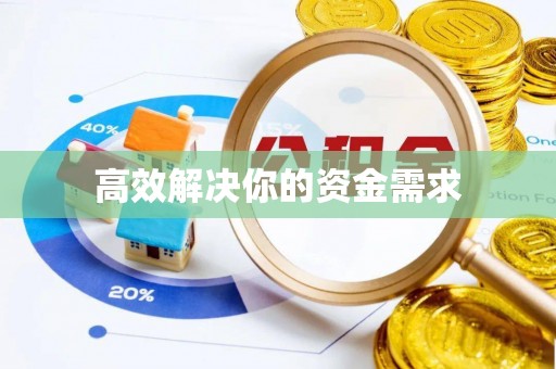 蓝田高效解决你的资金需求