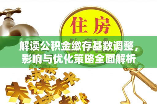 蓝田解读公积金缴存基数调整，影响与优化策略全面解析