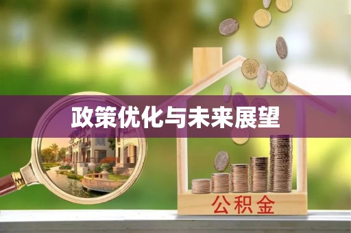 蓝田政策优化与未来展望