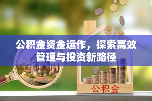 蓝田公积金资金运作，探索高效管理与投资新路径
